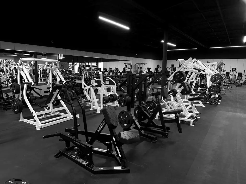 Plate-loaded strength machines arranged in rows on the training floor at Rhein Athletic Club, black ceiling and linear lighting overhead.